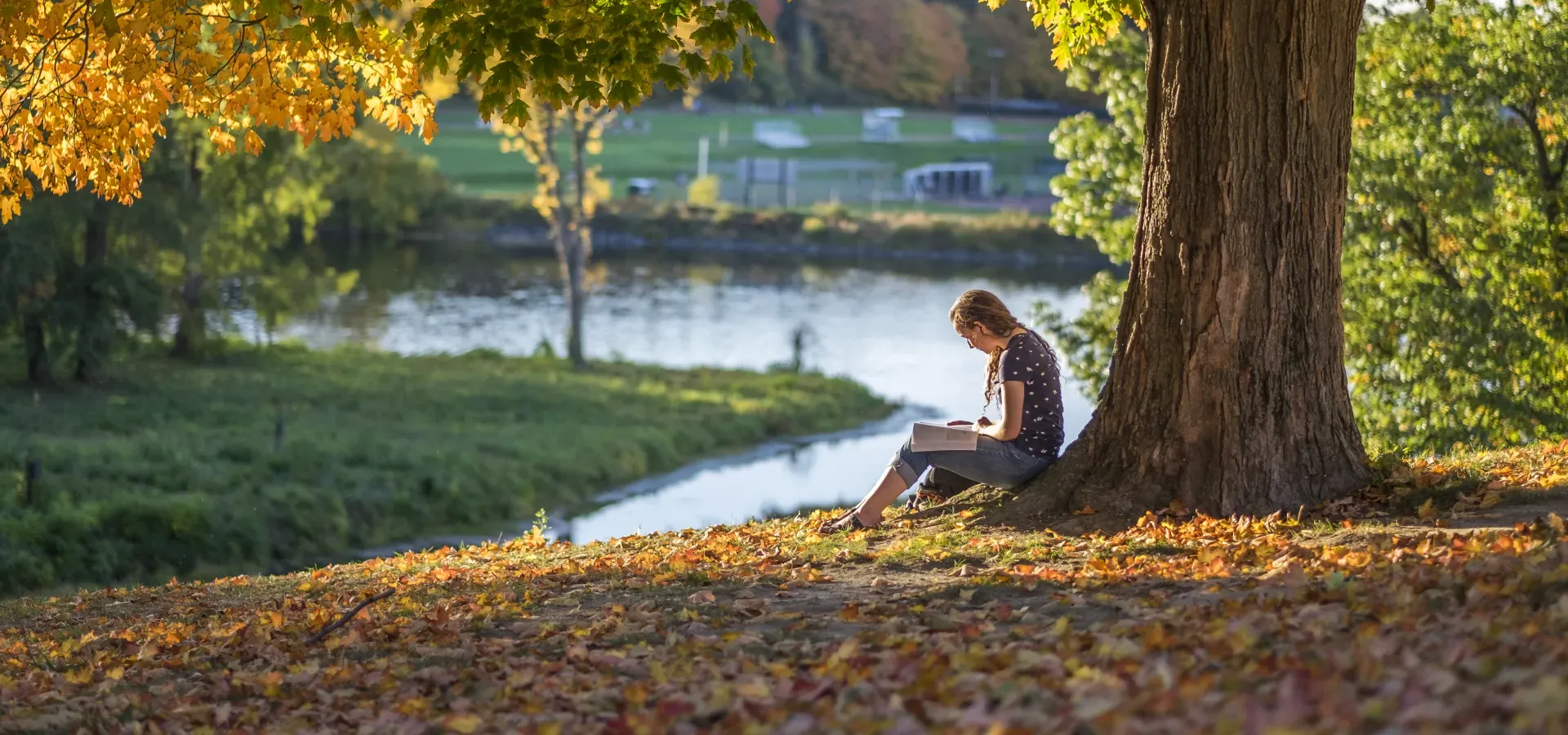 A student sitting under a tree near Paradise Pond.